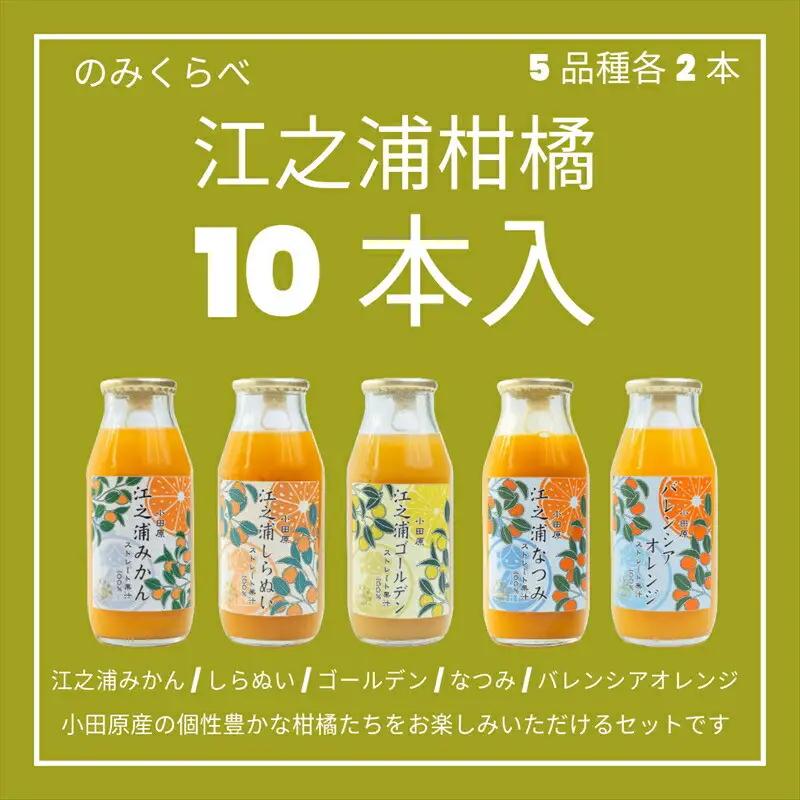 小田原産江之浦みかんジュース５種のみくらべ１０本セット うんしゅう・しらぬい・ゴールデン・なつみ・バレンシアオレンジ１００％ストレートジュース１８０ml各２本合計１０本【みかんジュース みかんジュース 神奈川県 小田原市 】