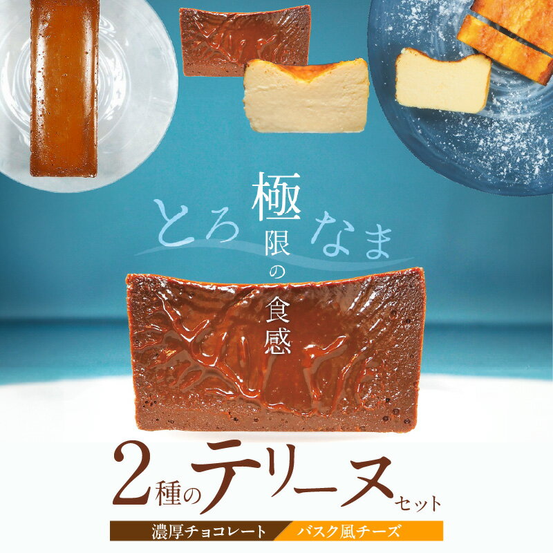 【ふるさと納税】（約200g） 濃厚 チョコレート バスク風 チーズ 2種 テリーヌ セット グルテンフリー 保存料不使用 クリームチーズ サワークリーム スイーツ デザート おやつ 冷凍 国産 専門店 人気 フレンチシェフ 愛知県 碧南市 お取り寄せ お取り寄せスイーツ