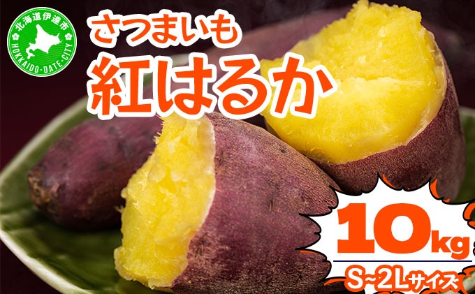 ＜先行予約＞《高糖度》さつまいも 紅はるか 10kg｜産地直送 熟成 サツマイモ 芋 甘い スイートヤバ芋 北海道 伊達市【55251150】