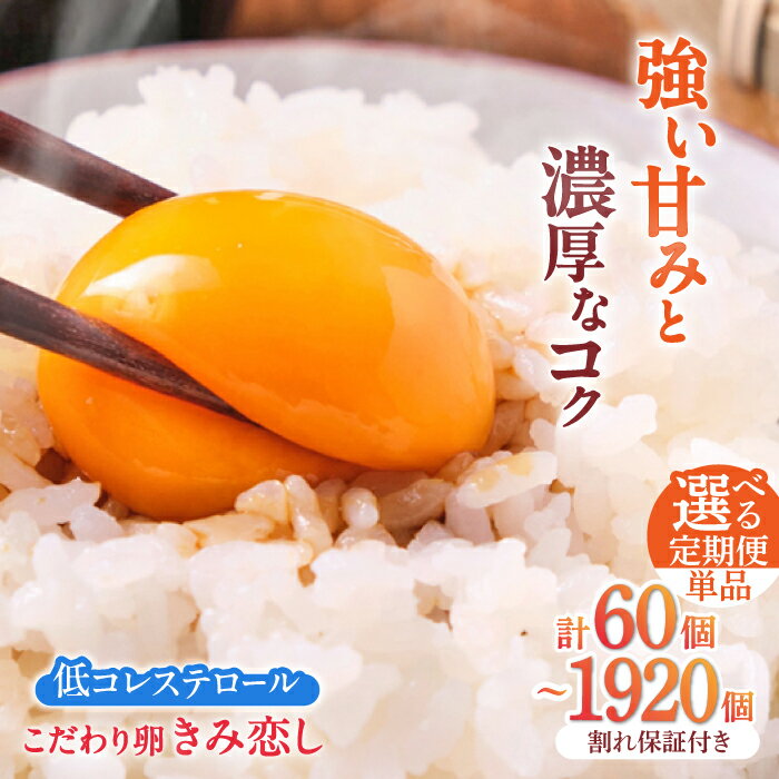 【ふるさと納税】【選べる定期便】きみ恋し 60個/80個/160個（55個+割れ保証5個/75個＋割れ保証5個/155個＋割れ保証5個）総計60個〜1920個 箱入り　広川町/伊藤養鶏場[AFAJ004]