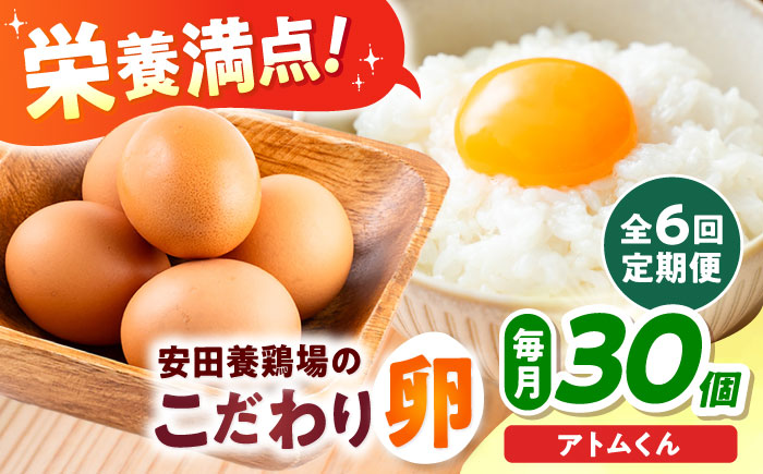 【全6回定期便】安田養鶏場の卵 アトムくん 30個入り 横須賀市 産地直送 たまご 黄身 濃厚 卵 玉子 タマゴ 鶏卵  【安田養鶏場】 [AKHN010]