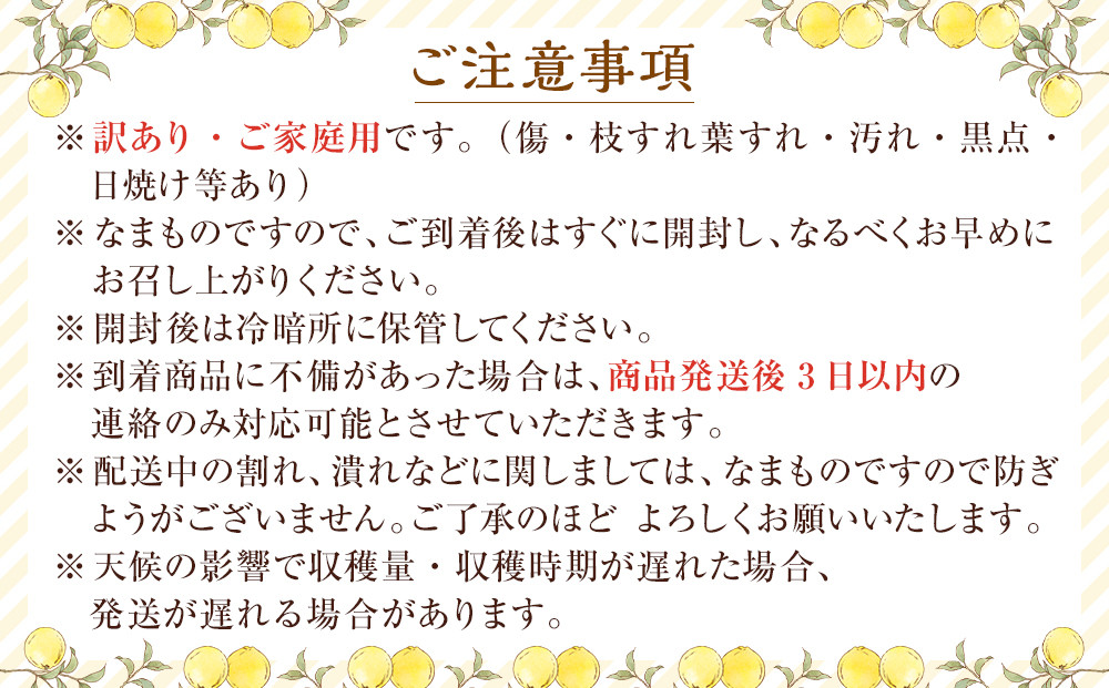 訳あり八朔  約10kg（箱込み） 和歌山県産