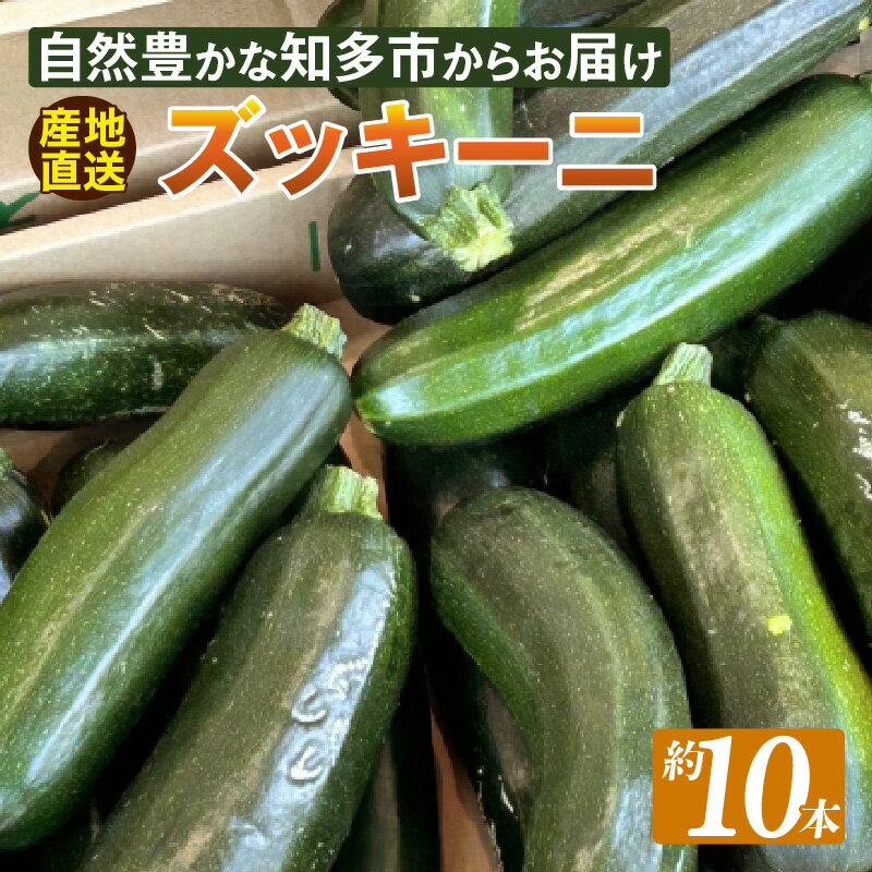 【ふるさと納税】ズッキーニ【約10本】【2025年4月から順次発送】野菜 やさい 緑黄色野菜 果肉 ウリ科 栄養 愛知県 特産品 送料無料