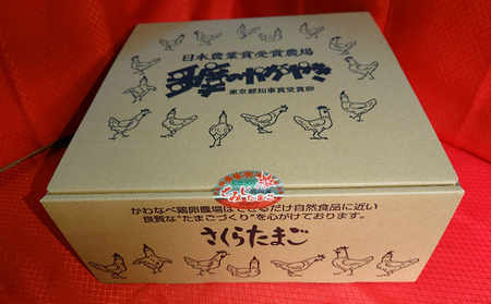 【定期便】かわなべ鶏卵農場のこだわりのたまご深美たまご30個3ヶ月連続お届け/こだわり 国産 青梅市産 鶏 鳥 卵 たまご タマゴ 玉子 朝食 卵かけご飯 ＴＫＧ ゆでたまご 赤玉 卵黄 卵白 健康 