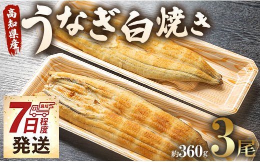うなぎ屋きた本 うなぎ白焼き120g 3尾セット(無頭) 7日程度 un-0018