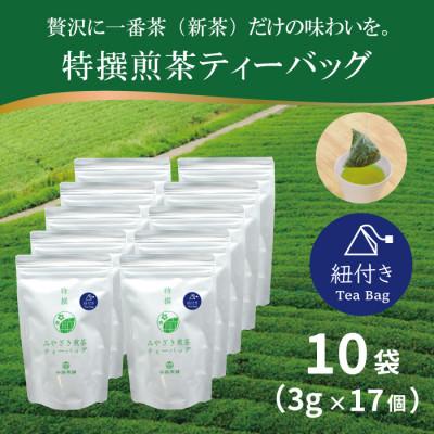 ふるさと納税 日向市 特撰みやざき煎茶ティーバッグ(紐付き)10袋