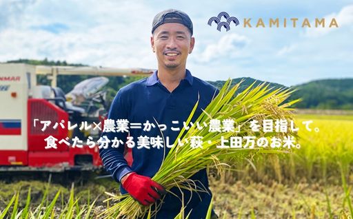 定期便 3か月 ミルキークイーン 令和8年 5kg 米 コメ こめ 萩産 KAMITAMA