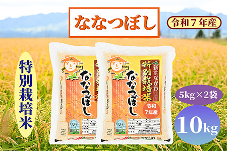 北海道奈井江町　特別栽培米　ななつぼし　10kg