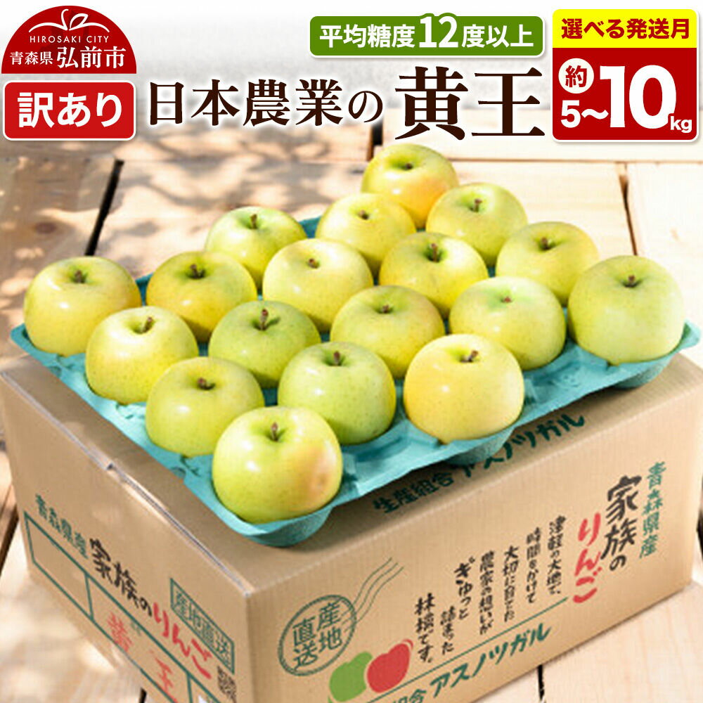 【ふるさと納税】りんご【選べる 26年 8月／9月 クール便発送】黄王【訳あり】平均糖度12度以上【選べる約 3kg／5kg／10kg】青森県産 果物 フルーツ 林檎 リンゴ くだもの 不揃い 規格外 [家庭用 産地直送 アップル 青森県 弘前市]