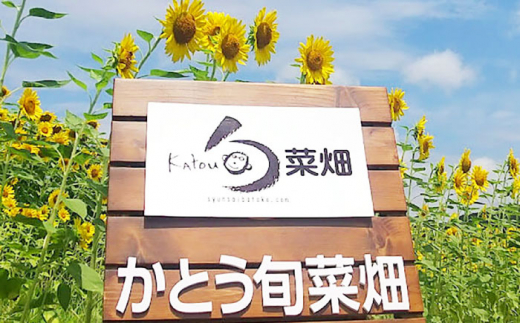 おまかせ10種 【11月中旬から順次発送】 採れたて 新鮮 根菜 葉物 農家直送 旬の野菜 愛媛県大洲市/かとう旬菜畑 [AGCW001] 大洲市産