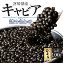 【ふるさと納税】 訳あり 宮崎県産 キャビア 本格熟成 フレッシュキャビア 厳選 詰め合わせ 合計 100g シロチョウザメ シベリアチョウザメ ベステルチョウザメ ロシアチョウザメ 宮崎県 宮崎市 送料無料