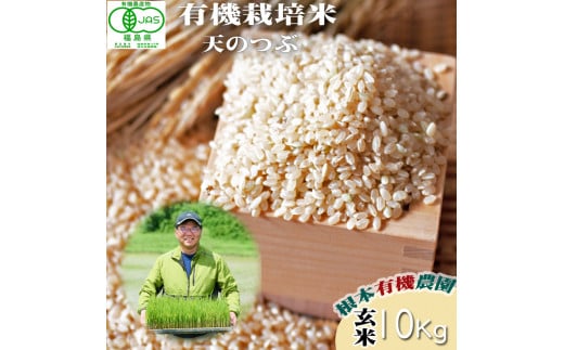 【令和6年産】 南相馬 天のつぶ 10kg 10キロ JAS 有機米 根本有機農園 天のつぶ 玄米 精米 コメ ブランド米 福島 福島県産 低温貯蔵庫 送料無料 たんぱく質 旨い ふるさと納税 オンライン申請【3004701】