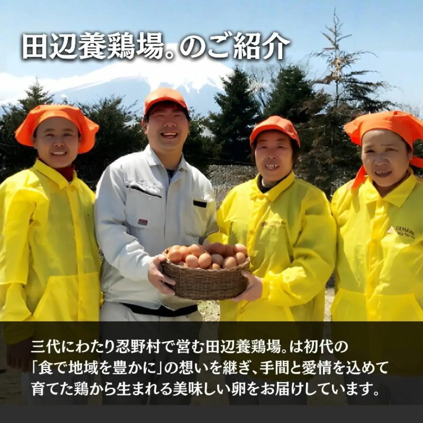 【忍野の卵】コクの赤玉【30個入り】