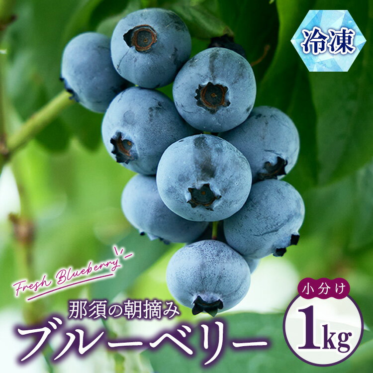 【ふるさと納税】【先行予約】那須町朝摘み冷凍ブルーベリー1kg（真空パック125g×8袋）〔B-123〕 ※2025年6月上旬頃より順次発送予定