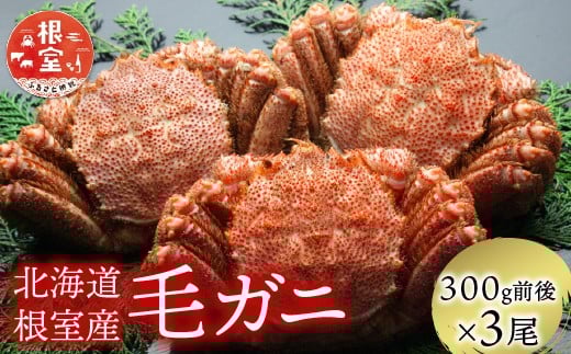 B-21005【年内配送可】 【北海道根室産】毛がに300g前後×3尾