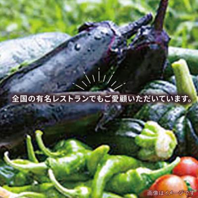 ふるさと納税 糸島市 バーベキュー・グリル用朝採れ野菜特選セット 福岡県糸島産(7-8人分) [AGE039] |  | 02