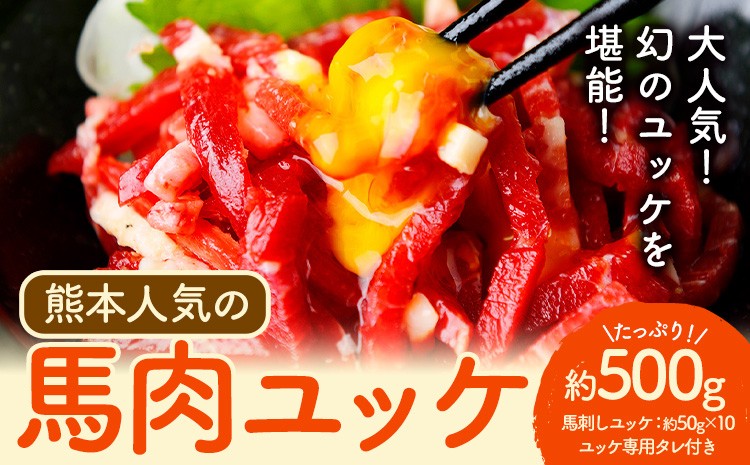 
                  馬刺し 熊本 人気の 馬肉ユッケ たっぷり 500g 株式会社利他フーズ《60日以内に出荷予定(土日祝除く)》 ユッケ 海外産 国内肥育 冷凍 生食用 肉 馬肉 ふるさと納税馬刺し 熊本県 津奈木町 送料無料 馬刺 ばさし 名物
                