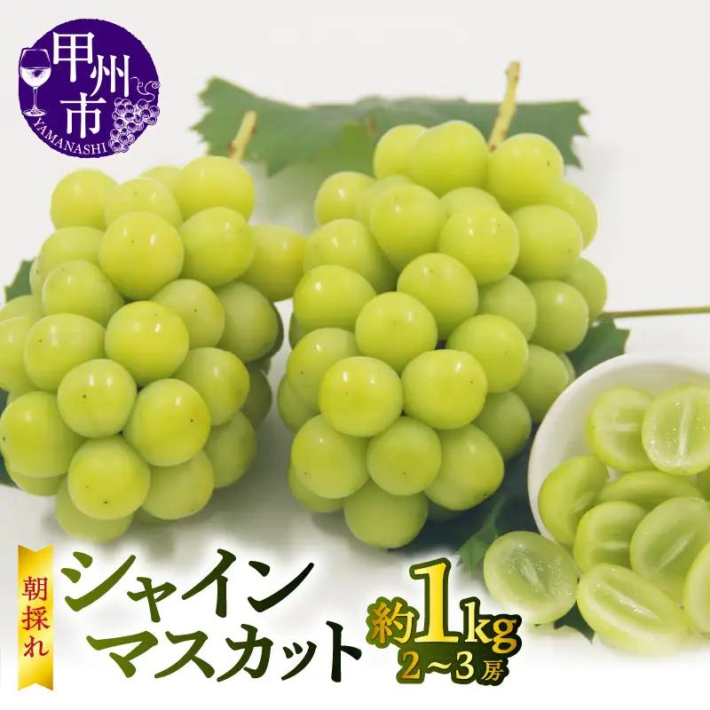 【宿沢フルーツ農園】シャインマスカット 約1.0kg（2～3房）【2026年発送】（SF）B-181 シャインマスカット フルーツ