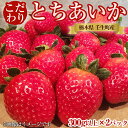 【ふるさと納税】壬生町産　こだわり とちあいか【300g以上×2パック】| いちご イチゴ 栃木県 ※2023年11月中旬頃より順次発送予定