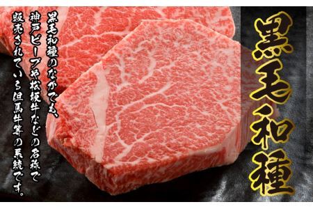 福井県産若狭牛サーロインステーキ約150g×2枚セット [A-012005]