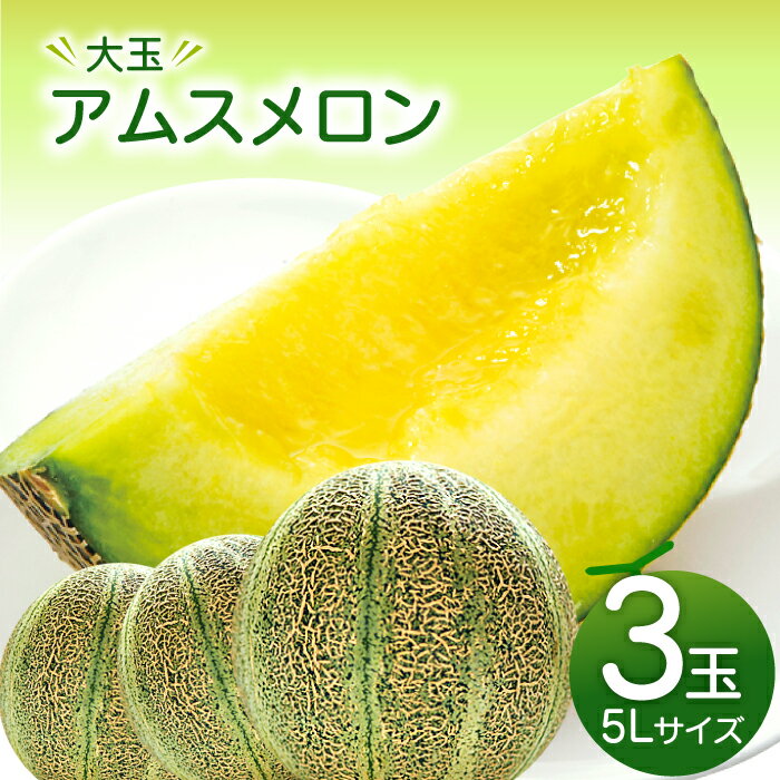 【ふるさと納税】〈先行予約〉 大玉 アムスメロン 5L 3玉 3個 メロン 早期予約 季節限定 期間限定 果物 フルーツ くだもの お土産 プレゼント 贈り物 ご褒美 贅沢