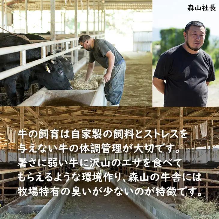 【ふるなびWEEK対象】森山牧場 牛肉すき焼き 500g 牛肉すき焼き B125-006