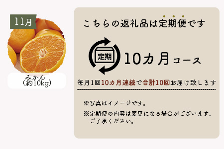 【10ヶ月定期便】 鹿島まるごと定期便 佐賀産和牛 夢しずく(米）海鮮しゅうまい 黒毛和牛 ジェラート 海苔佃煮 芳寿豚 野菜 果物 海苔 佐賀県鹿島市の特産品をまーるごとお届け L-12