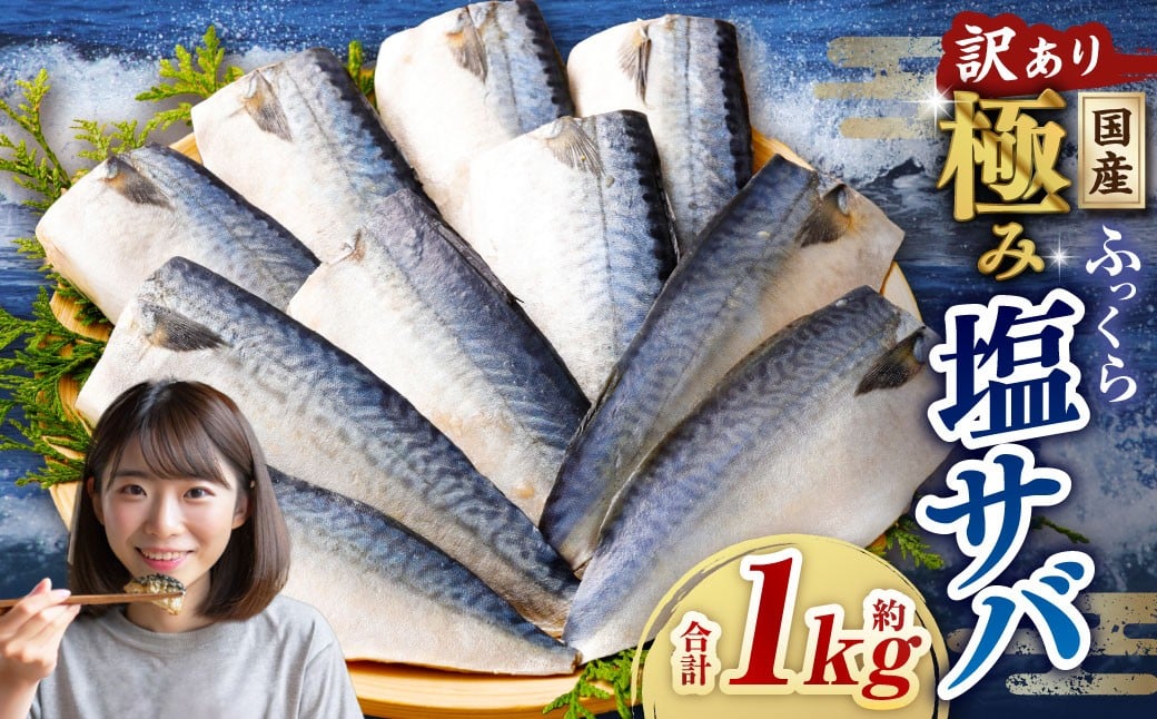 
            【訳あり】国産 ふっくら 極み塩サバ 計約1kg ／ 1切れ 塩サバ 塩さば 塩鯖 さば サバ 鯖 魚
          