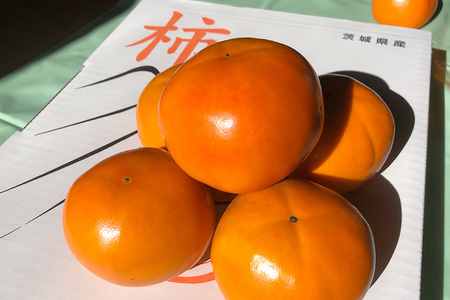 【数量限定・先行予約】富有柿 2L 14玉 (茨城県共通返礼品 石岡市) 67-B