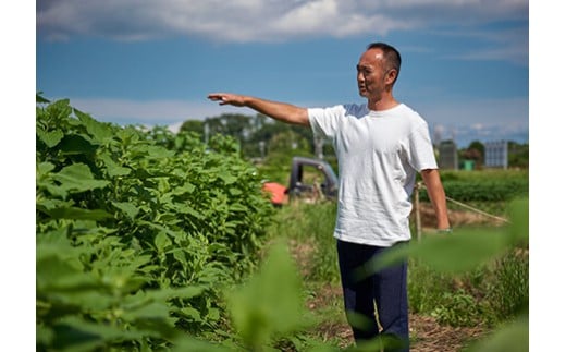 訳あり 紅はるか 9kg 11月以降発送 開始 さつまいも 訳アリ 訳有 サツマイモ 薩摩芋 さつま芋 デザート べにはるか スイーツ 甘芋 スイートポテト sweet potato 蜜 蜜芋 芋 イ