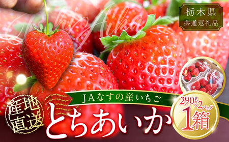 【数量限定】JAなすの産いちご 産地直送 とちあいか 1箱（290g×2パック）【栃木県共通返礼品】 ns084-002 いちご ﾌﾙｰﾂ 果物 品種 ｵﾘｼﾞﾅﾙ 甘さ ﾃﾞｻﾞｰﾄ ﾋﾞﾀﾐﾝC 葉酸 ﾊｰﾄ形