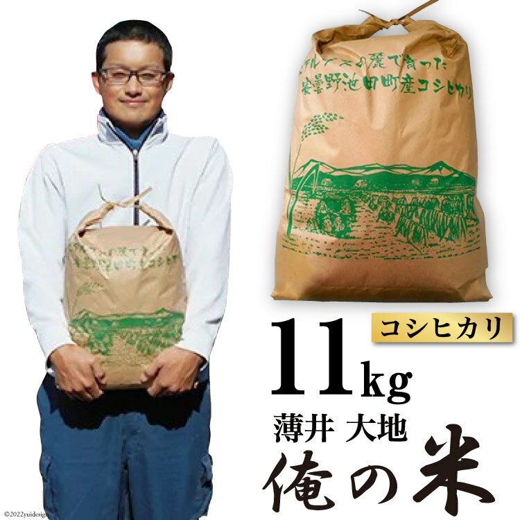 【ふるさと納税】【俺の米】米 令和7年 コシヒカリ 精米 11kg [薄井 大地 長野県 池田町 48110784] お米 白米 ごはん こしひかり 美味しい 農家 直送