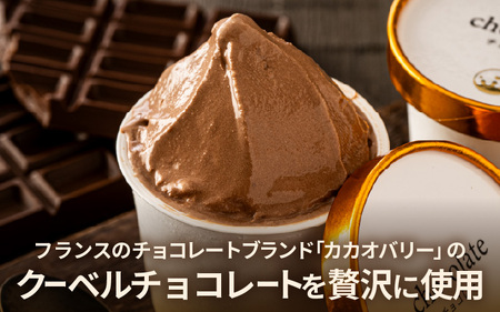 はんすうカップアイス バラエティパック E アイスクリーム スイーツ 詰め合わせ [A-21511]