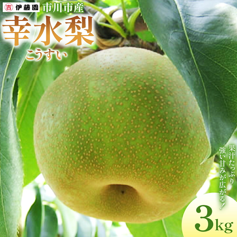 【ふるさと納税】市川の梨　幸水　6玉～8玉　【12203-0456】 なし ナシ 市川のなし 果物 くだもの フルーツ 市川市 梨の伊藤園