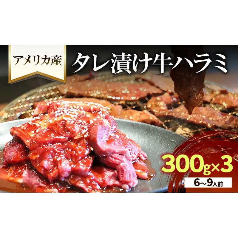 牛ハラミ タレ漬け 300g×3 6〜9人前 牛ハラミ