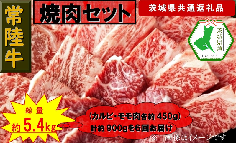 
                  【6か月定期便】【常陸牛】焼肉セット 約900g【定期便】計6回 総量約5,400g（茨城県共通返礼品）【常陸牛　茨城県産　日立市】
                