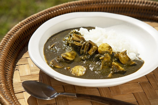 
829　〈あそらの茶屋〉あおさのグリーンカレー　鮑とエリンギとともに（4食入）
