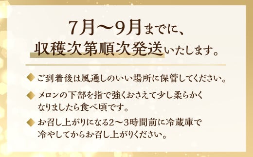 2027年【先行予約】日研農園 アールスメロン　3L×4玉入  めろん フルーツ 果物 ジューシー 愛知県 特産品 産地直送 田原市 渥美半島