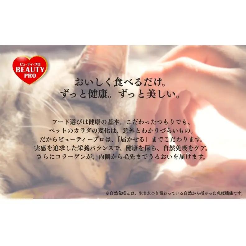 ビューティープロ キャット 下部尿路の健康維持 1歳から チキン味 1.4kg ｘ8(ケース単位) キャットフード