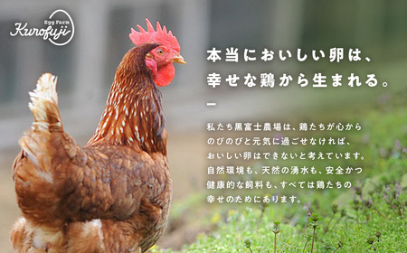 【10ヵ月定期便】リアルオーガニック卵 18個×10ヶ月 卵 たまご タマゴ 玉子 鶏卵 山梨 黒富士農場 産みたて 新鮮 自然卵 放牧卵 たまごかけご飯 平飼い 定期便 オーガニック 冷蔵 甲斐市 