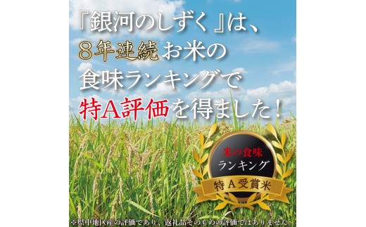 【 新米 】【12回定期便】お米 10kg (5kg×2) ( 総計120kg ) 白米 銀河のしずく 特A受賞 ★令和8年産★ 精米 米 おこめ ご飯 令和8年 特A 仕送り お弁当  5キロ 10