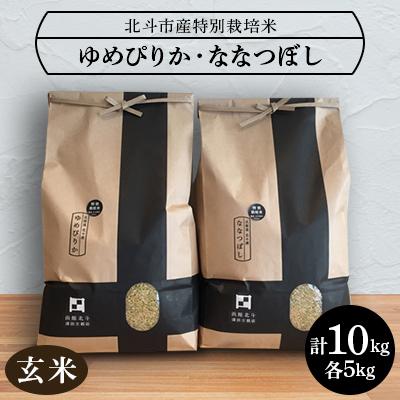 ふるさと納税 北斗市 【数量限定】令和7年産特別栽培米ゆめぴりか・ななつぼし(玄米)各5kg(合計10kg)セット