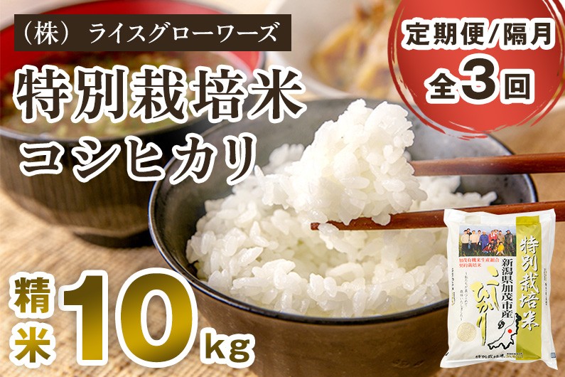
                  【令和8年産新米先行予約】【定期便3回隔月お届け】新潟県加茂市産 特別栽培米 コシヒカリ 精米 10kg（5kg×2）《10月上旬～順次出荷》 従来品種コシヒカリ 新潟県産コシヒカリ 新潟産コシヒカリ 新潟コシヒカリ 新潟県産こしひかり 新潟産こしひかり 新潟こしひかり コシヒカリ こしひかり お米 白米 米 定期便 （株）ライスグローワーズ
                