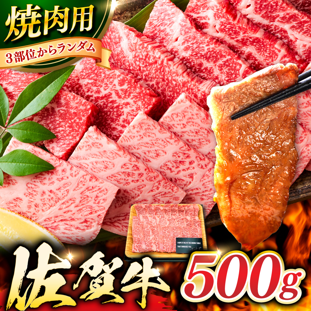 とろける霜降り！ 佐賀牛 焼肉用 500g（バラ or肩ロース or モモ） 吉野ヶ里町 [FDB008]