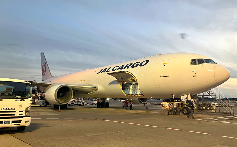 【JALふるさと納税限定】11月14日(土)10:00開催 成田国際空港内 JALカーゴサービス 貨物エリア見学ツアー 空港 見学 ツアー 千葉県 成田市