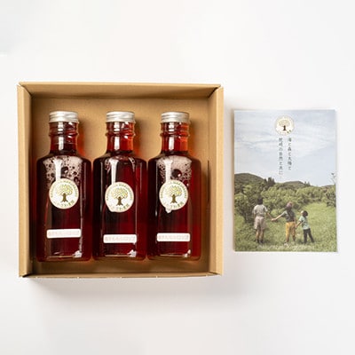 【のし付き・お歳暮】ふかざわ農園の梅すももシロップ　A3-28S