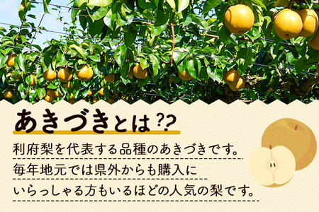 梨 数量限定 利府梨（あきづき）約5kg（10玉前後）先行受付