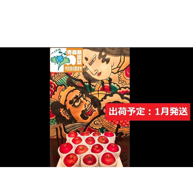 りんご 【 1月発送 】 特選 サンふじ 約 5kg （14～18玉程度） 青森県特別栽培農産物認証農園 【 弘前市産 青森りんご  果物類 林檎 リンゴ  】