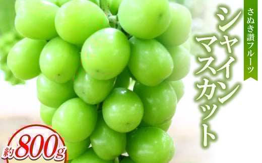 さぬき讃フルーツ「シャインマスカット」約800g ＜8～9月より順次発送＞【1611395】