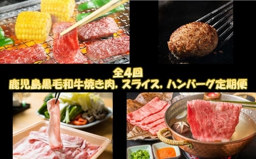 
【全4回】鹿児島黒毛和牛焼き肉、スライス、ハンバーグ定期便 084-14
